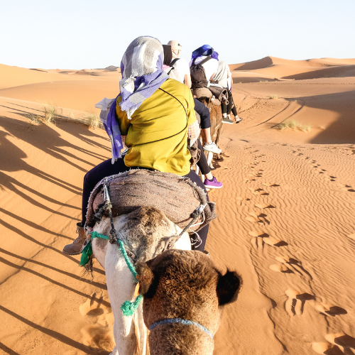 Ksar Ghilane Oasis in the middle of the desert