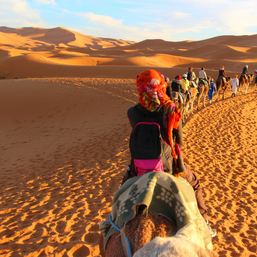 Departure for the Camel Adventure in Douz