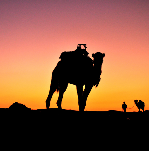 Desert Trekking and Nomadic Feast