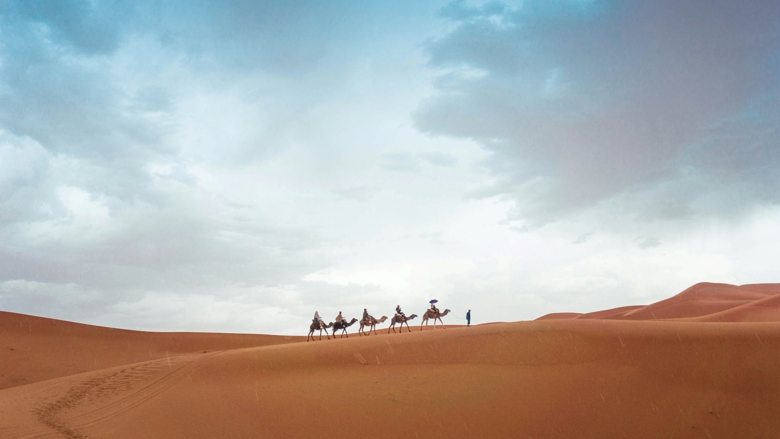 Camel trekking in Tunisia