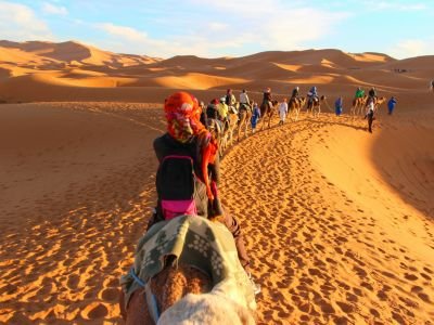 Camel trekking in Tunisia