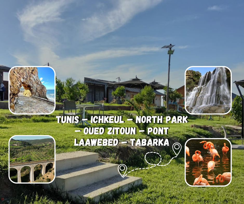 Tunis – Ichkeul – North Park – oued Zitoun – Pont laawebed – Tabarka