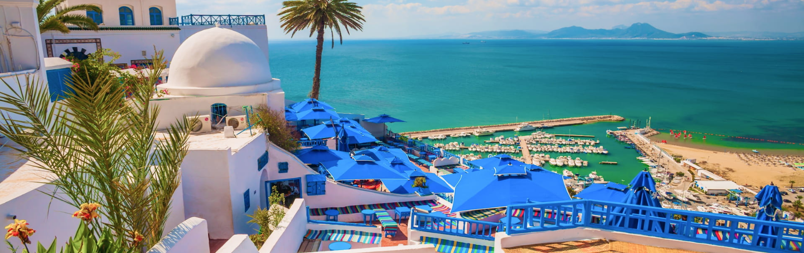 Sidi Bou Saïd et Carthage : découverte privée des trésors de la Tunisie