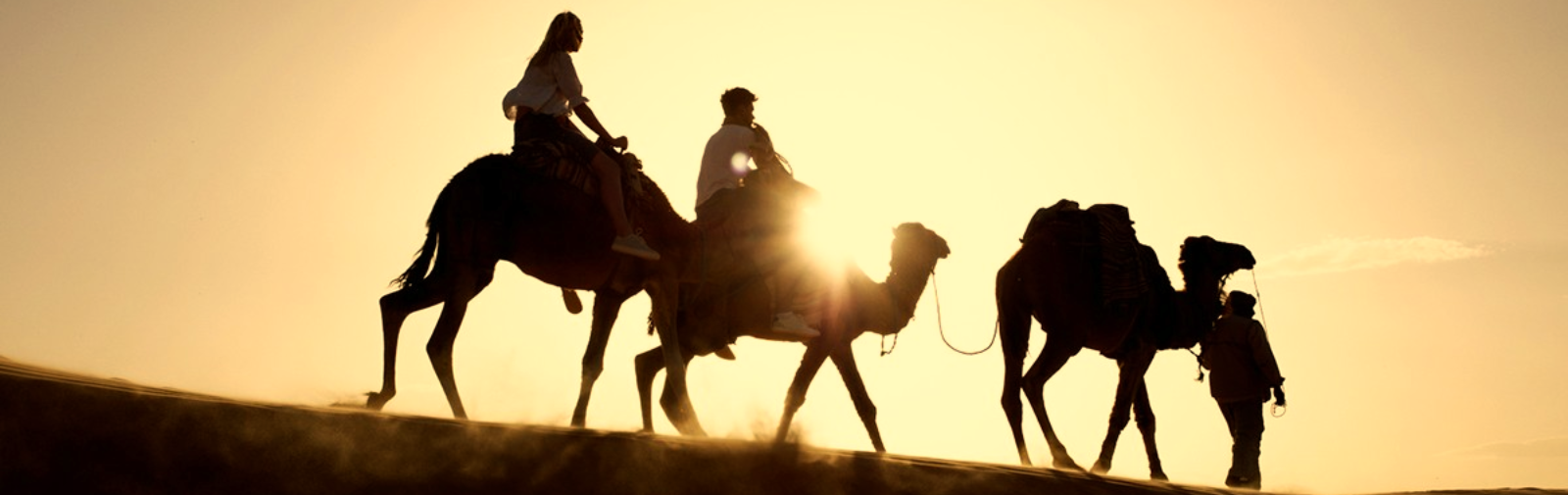 Aventure dans le désert : entre oasis, désert et patrimoine Amazigh
